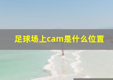 足球场上cam是什么位置