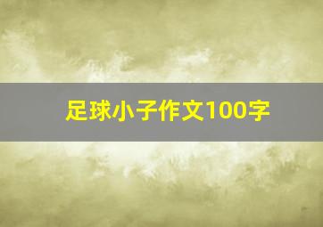 足球小子作文100字