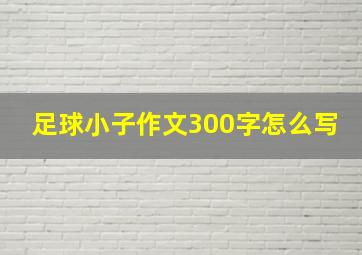 足球小子作文300字怎么写