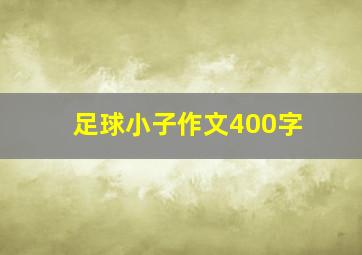 足球小子作文400字