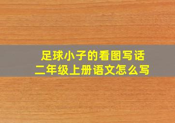 足球小子的看图写话二年级上册语文怎么写