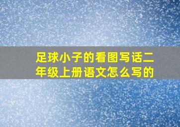 足球小子的看图写话二年级上册语文怎么写的