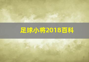 足球小将2018百科