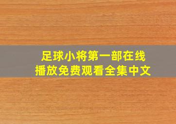 足球小将第一部在线播放免费观看全集中文