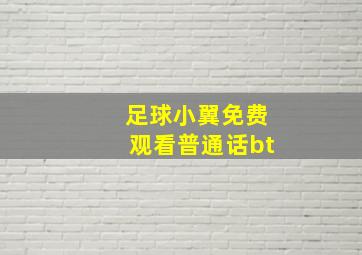 足球小翼免费观看普通话bt