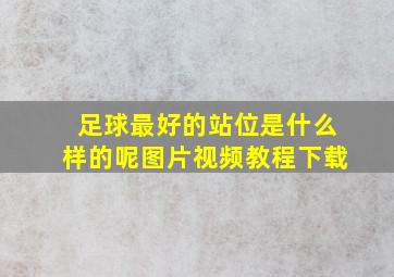 足球最好的站位是什么样的呢图片视频教程下载