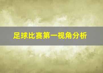 足球比赛第一视角分析