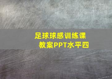 足球球感训练课教案PPT水平四