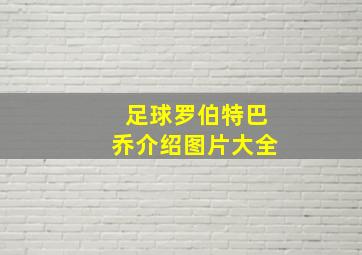 足球罗伯特巴乔介绍图片大全