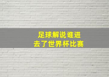 足球解说谁进去了世界杯比赛