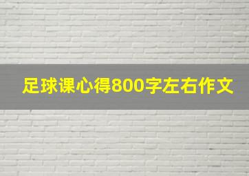 足球课心得800字左右作文