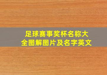 足球赛事奖杯名称大全图解图片及名字英文