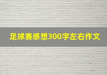 足球赛感想300字左右作文