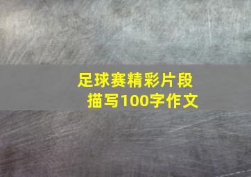 足球赛精彩片段描写100字作文