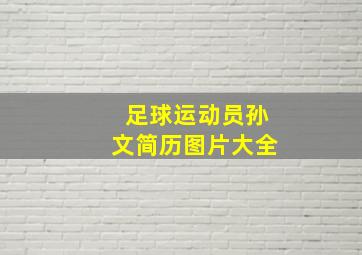 足球运动员孙文简历图片大全