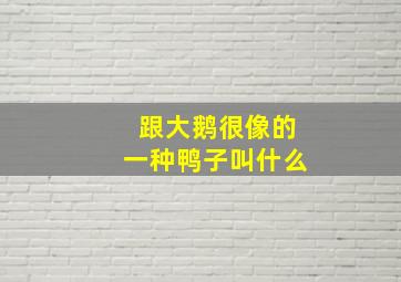 跟大鹅很像的一种鸭子叫什么