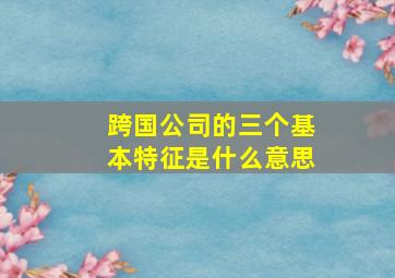 跨国公司的三个基本特征是什么意思