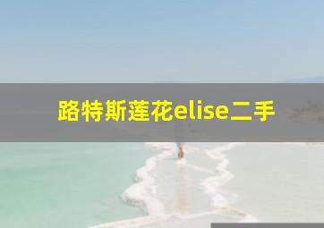 路特斯莲花elise二手