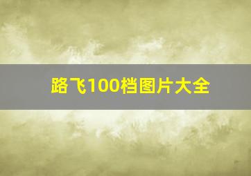 路飞100档图片大全