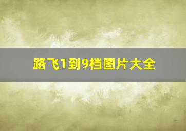 路飞1到9档图片大全