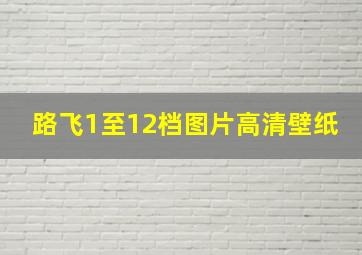 路飞1至12档图片高清壁纸