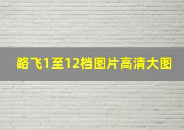 路飞1至12档图片高清大图