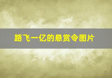 路飞一亿的悬赏令图片