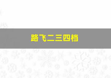 路飞二三四档