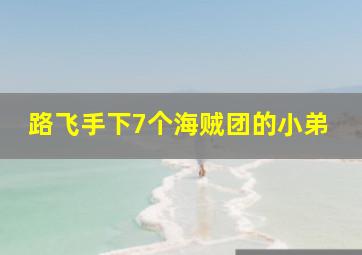 路飞手下7个海贼团的小弟