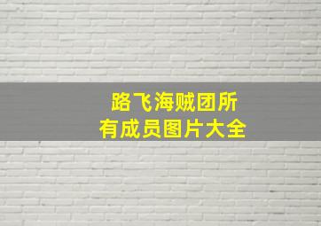 路飞海贼团所有成员图片大全