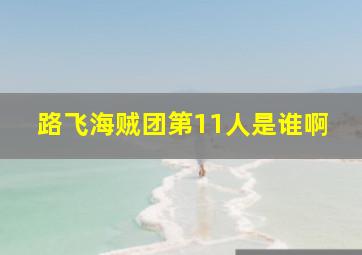 路飞海贼团第11人是谁啊