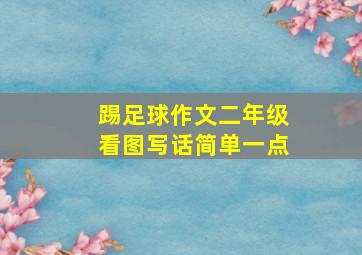 踢足球作文二年级看图写话简单一点