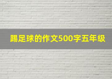 踢足球的作文500字五年级