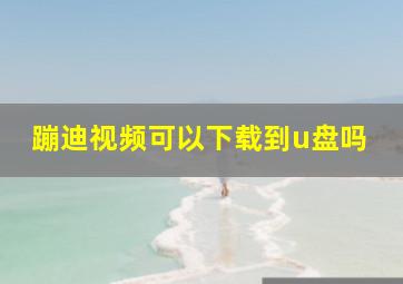 蹦迪视频可以下载到u盘吗