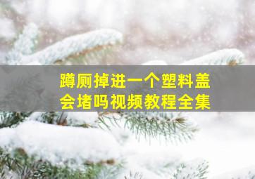 蹲厕掉进一个塑料盖会堵吗视频教程全集