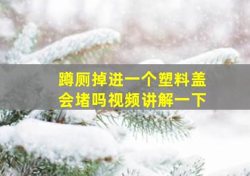 蹲厕掉进一个塑料盖会堵吗视频讲解一下