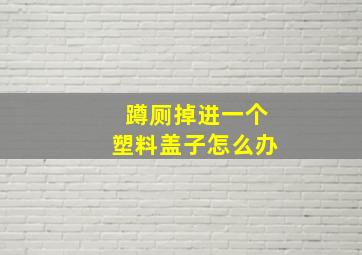 蹲厕掉进一个塑料盖子怎么办