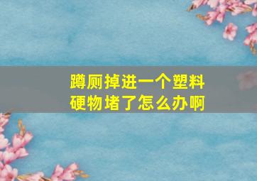 蹲厕掉进一个塑料硬物堵了怎么办啊