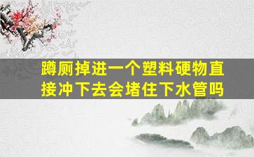 蹲厕掉进一个塑料硬物直接冲下去会堵住下水管吗