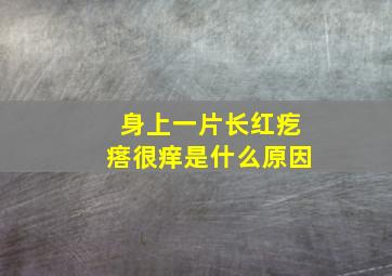 身上一片长红疙瘩很痒是什么原因