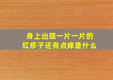 身上出现一片一片的红疹子还有点痒是什么