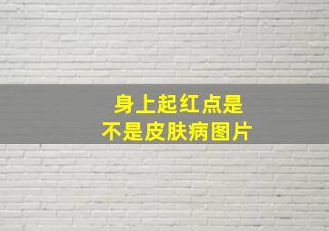 身上起红点是不是皮肤病图片