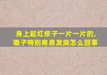 身上起红疹子一片一片的,嗓子特别疼易发烧怎么回事