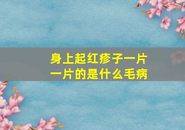 身上起红疹子一片一片的是什么毛病