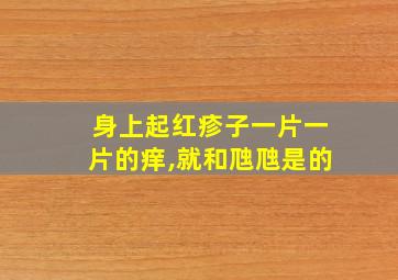 身上起红疹子一片一片的痒,就和虺虺是的