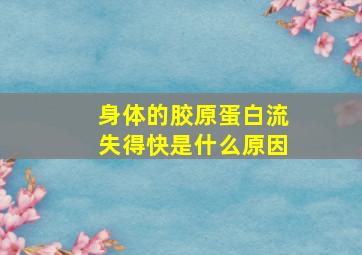 身体的胶原蛋白流失得快是什么原因