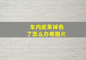 车内皮革掉色了怎么办呢图片