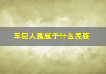 车臣人是属于什么民族