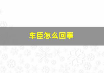 车臣怎么回事