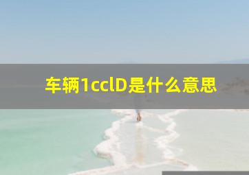 车辆1cclD是什么意思